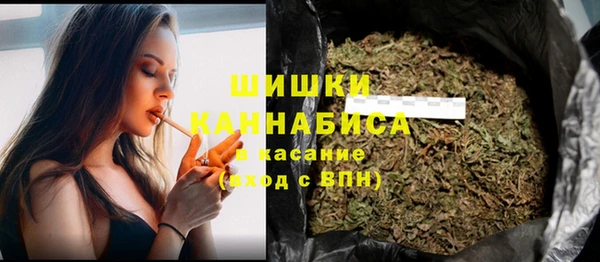 гидра Киренск