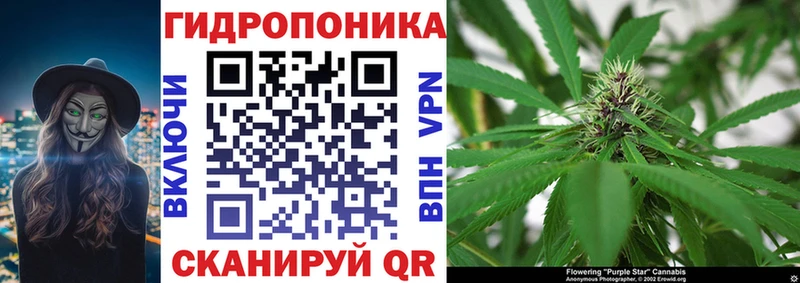 Шишки марихуана LSD WEED  blacksprut как войти  Ногинск 